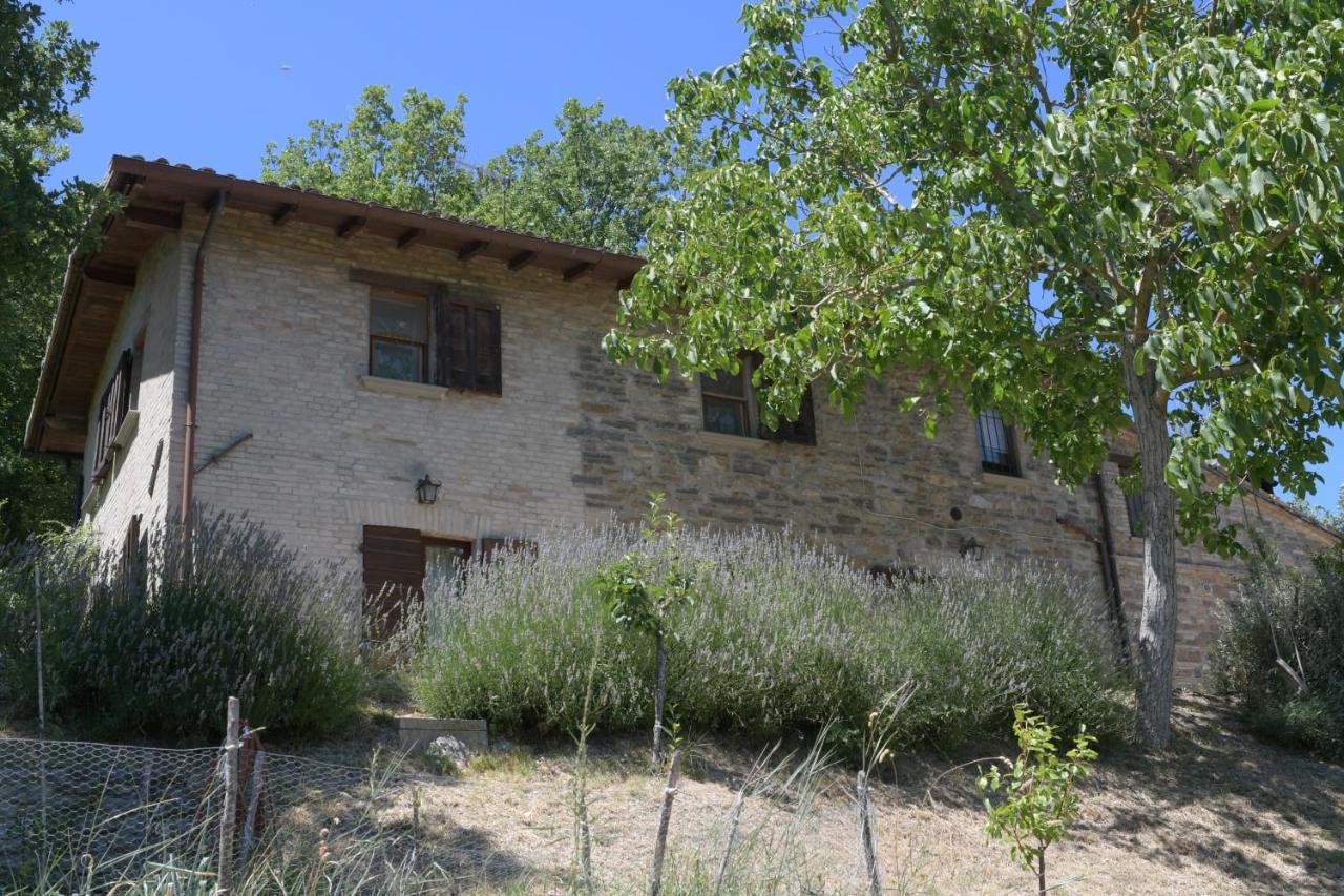 Localita S Cecilia 30, Urbania Apartment Exterior photo